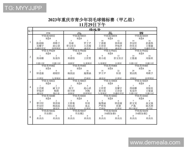 重庆羽毛球队在联合会杯中的拼搏历程与荣耀时刻回顾