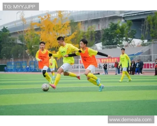 成都足球队精英赛之路：从默默无闻到荣耀绽放的奋斗历程